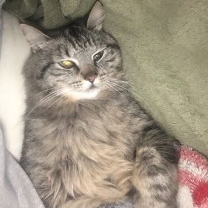 Meet your Posher, Destiny